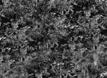 LITTLE TREES Black Ice